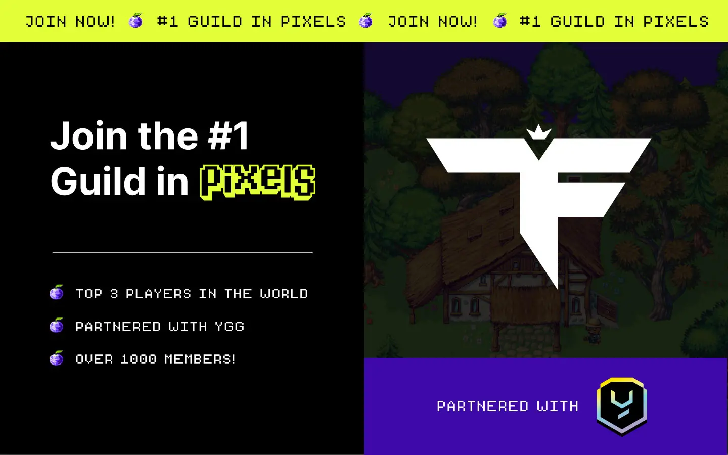 TIF the #1 guild in Pixels.